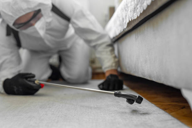 Professional Emergency Pest Control technician working in Homestead Meadows South, TX