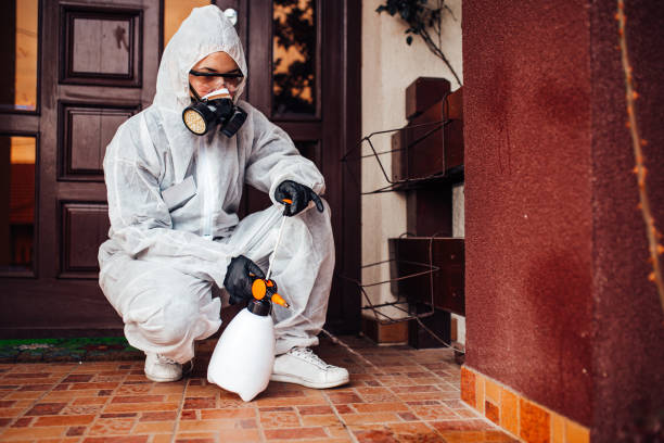 Reliable Emergency Pest Control contractor in Homestead Meadows South, TX by Nex Pest Control
