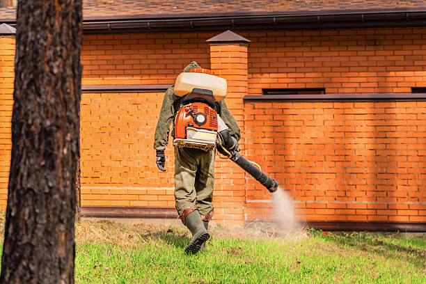 Trusted Termite Control service in Homestead Meadows South, TX - Nex Pest Control